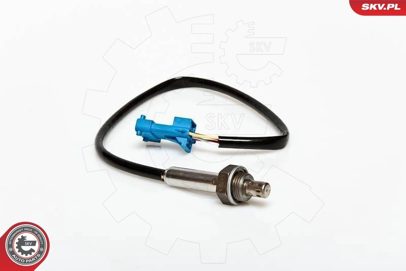 Oxygen Sensor